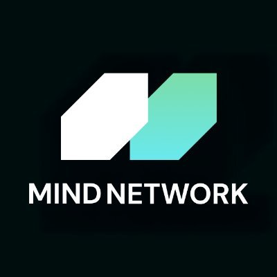 Mind Network Icon